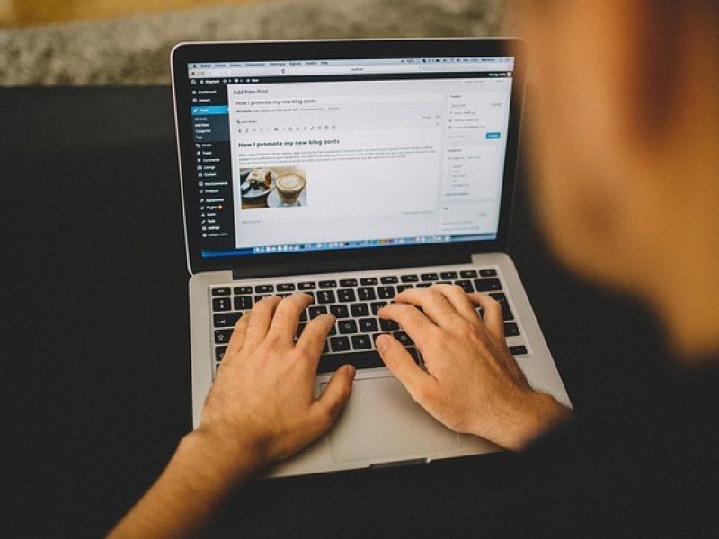 Custom WordPress Developer in Pakistan