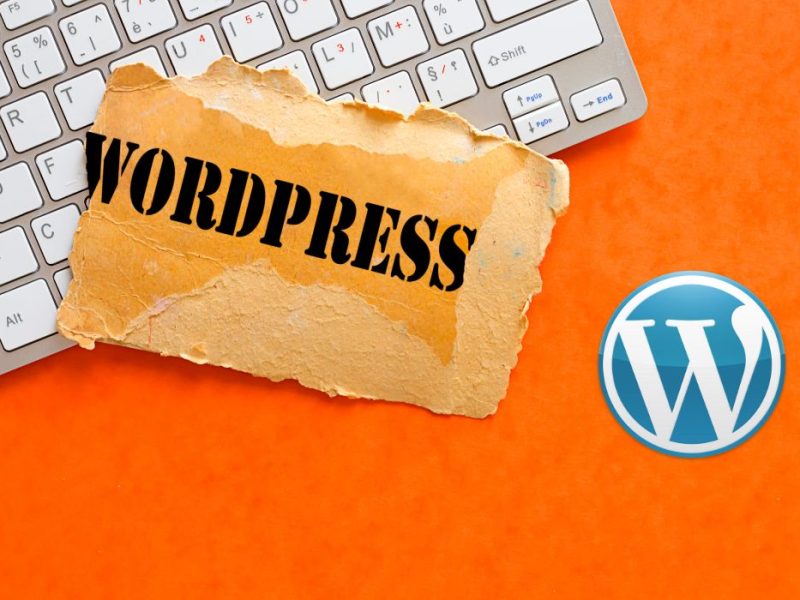 wordpress developer in pakistan